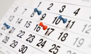 guida alla visita home page -  calendario