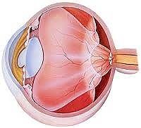 distaco-della-retina