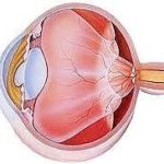distaco-della-retina