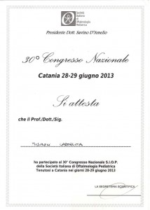 CORSO 1313